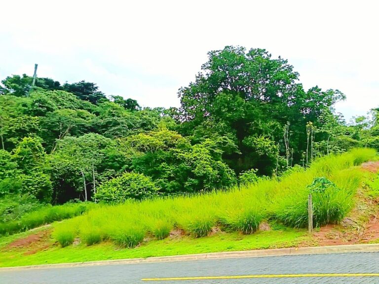 Lot for Sale Hacienda Natura, Naranjo