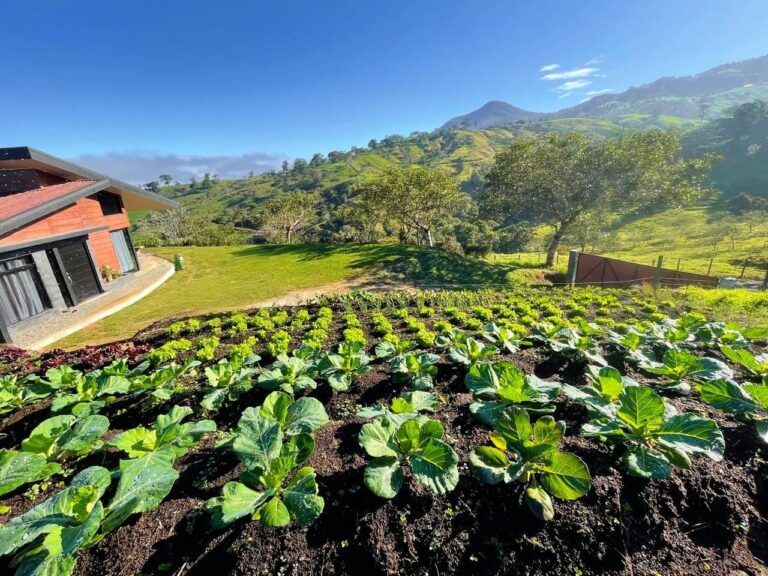 House for Sale, Sucre, San Carlos.