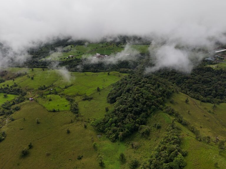 Land for sale, Bajos del Toro