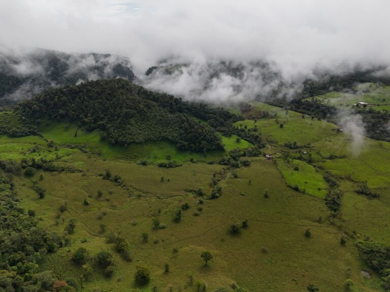 Land for sale, Bajos del Toro