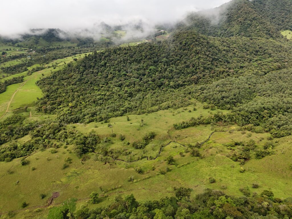 Land for sale, Bajos del Toro