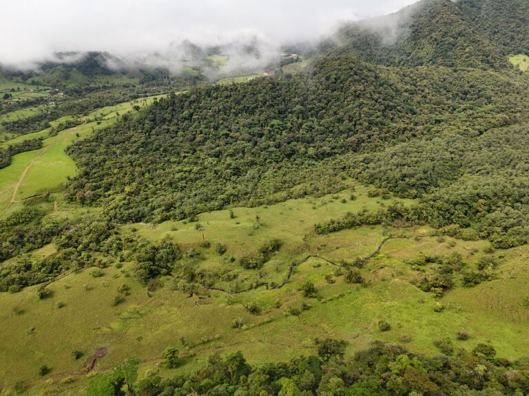 Land for sale, Bajos del Toro