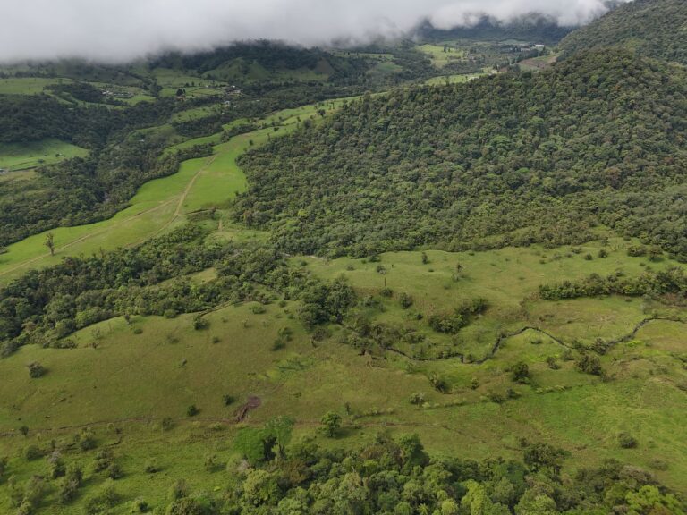 Land for sale, Bajos del Toro