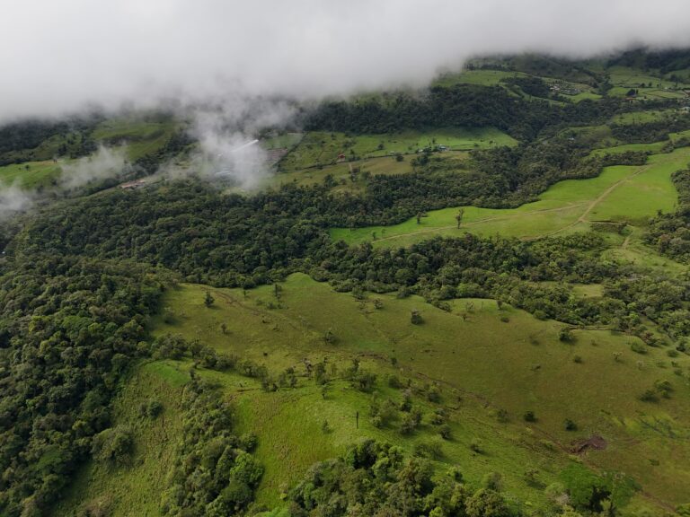 Land for sale, Bajos del Toro
