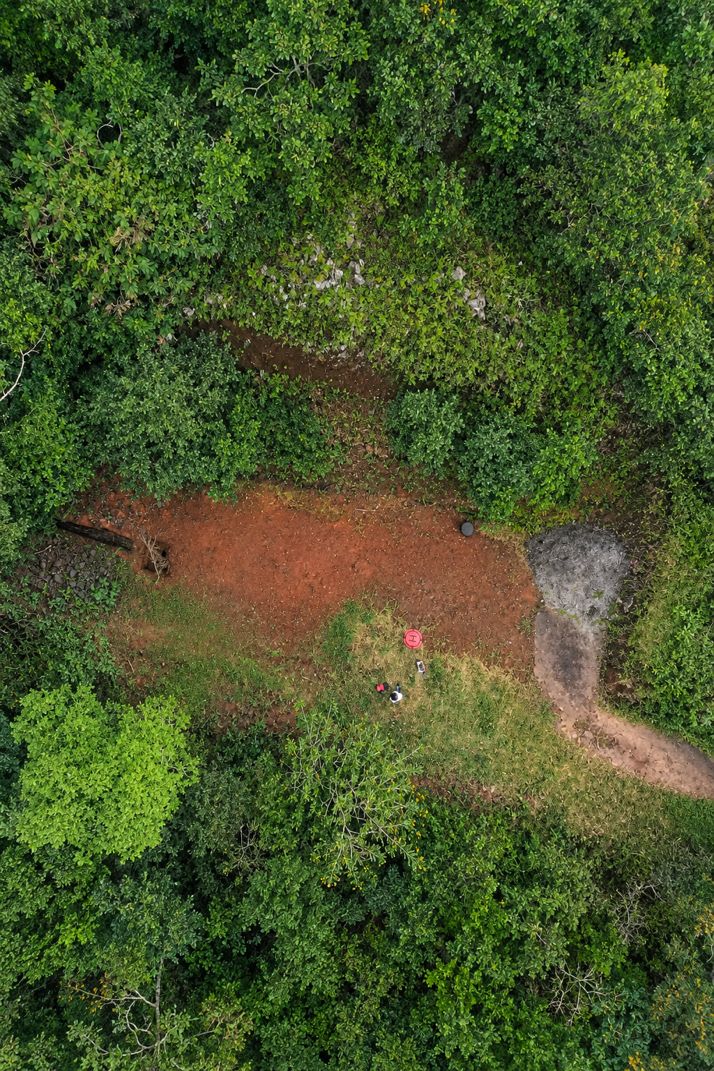 6.8 ha Cloud Forest Farm for Sale in Zarcero, Costa Rica